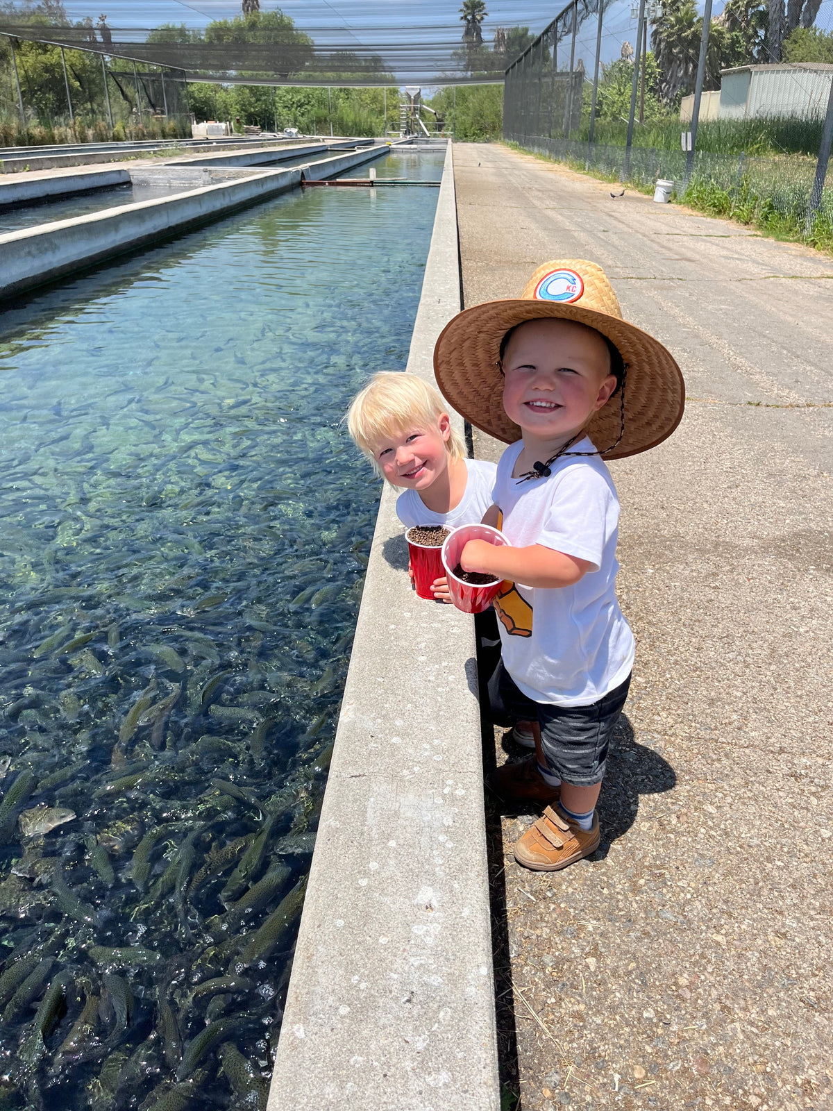 California Kids Collection Straw Hat - Youth